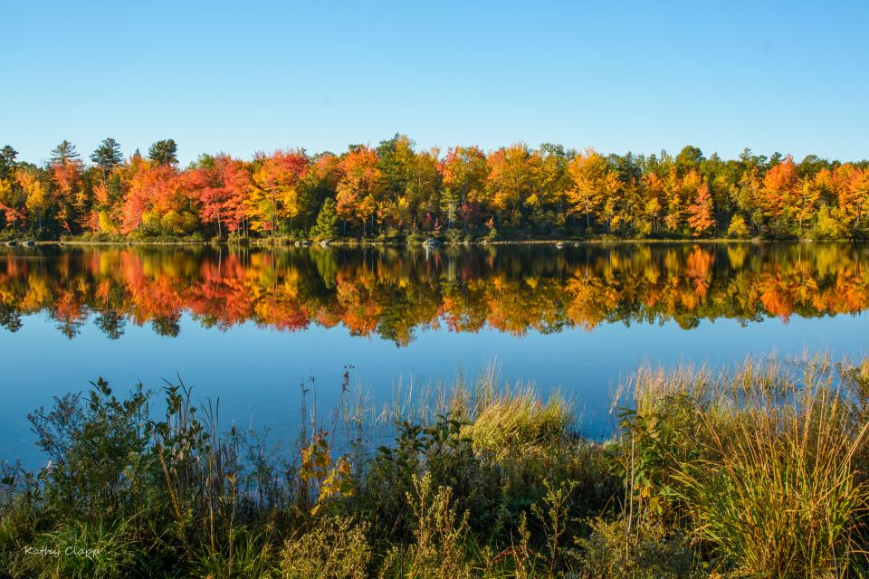 Toddy Pond | Shutterbug